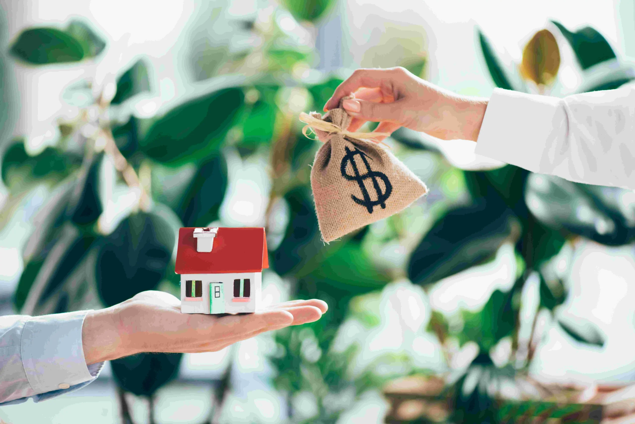cozy Homeowner Incentives - The Cozy Penguin Insulation Company